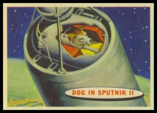 2 Dog In Sputnik II